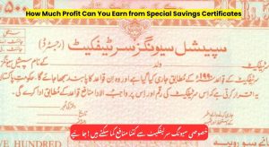 How Much Profit Can You Earn from Special Savings Certificates?…