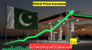 Petrol Price in Pakistan May Reach Rs. 350 Per Litre…